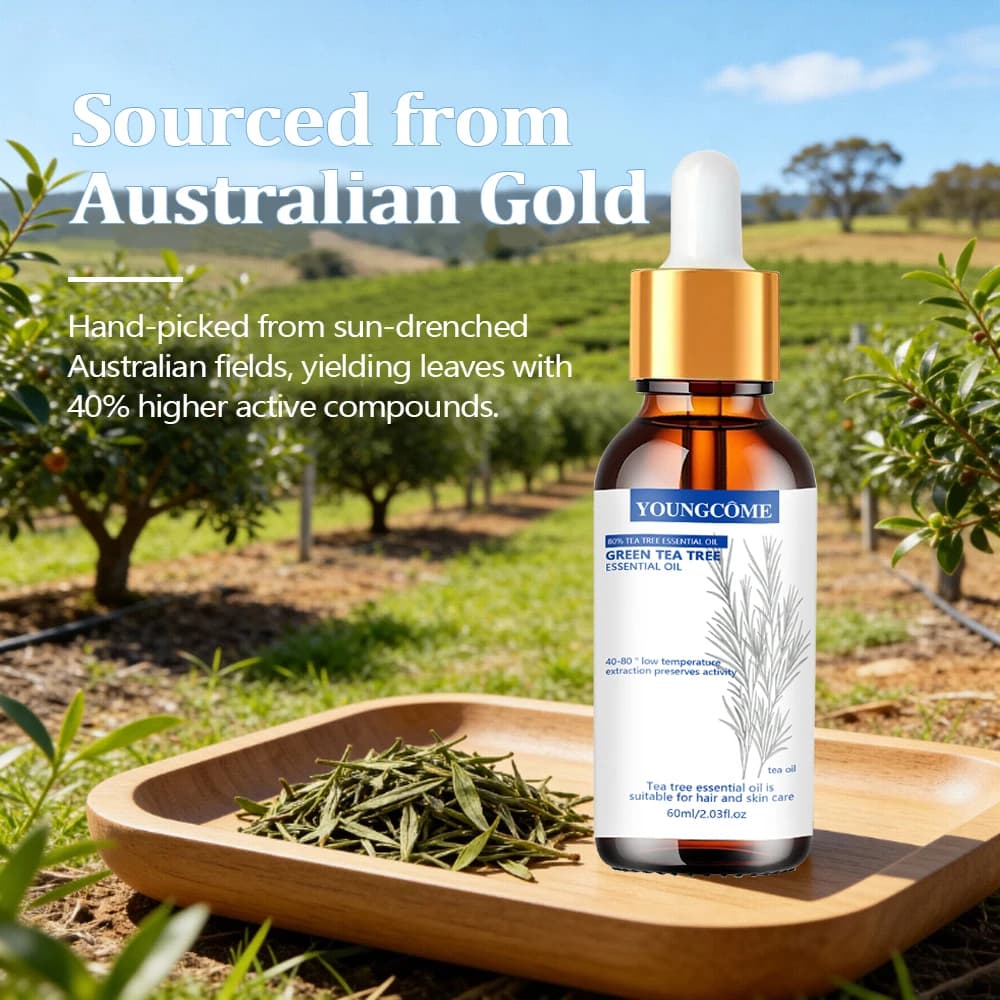 YOUNGCOME Huile essentielle d'arbre à thé pur - Solution naturelle de soin pour cheveux et peau infusée au thé vert pour voiture hydratante et rafraîchissante quotidienne