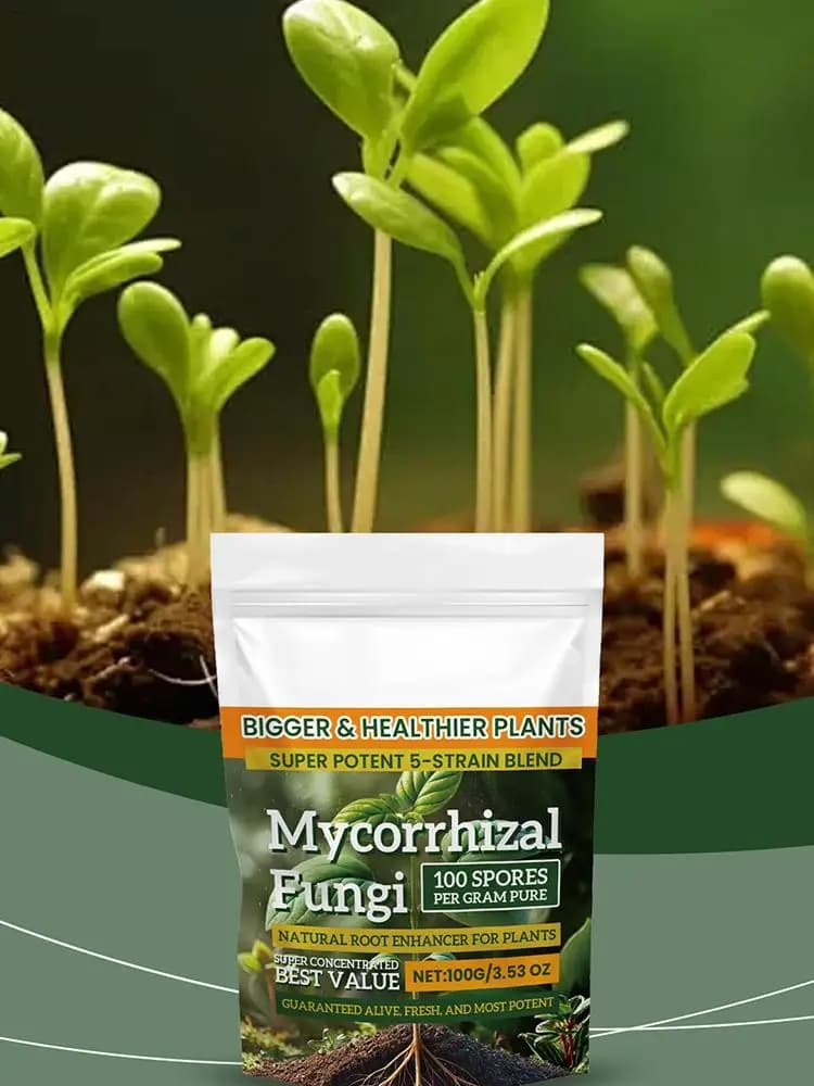 Poudre d'engrais pour plantes, 100g, pour la croissance des plantes, nutritif, supplément d'enracinement sûr et efficace pour la culture hydroponique du sol