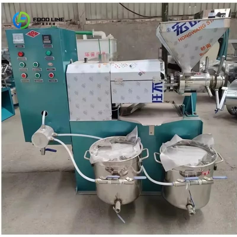 Presse à huile entièrement automatique pour une production efficace d'huile d'olive, de soja, de sésame et de noix, sur mesure