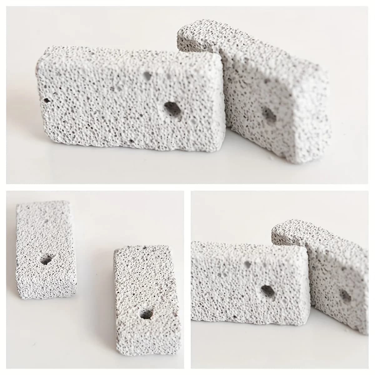 Naturel pour animaux de compagnie