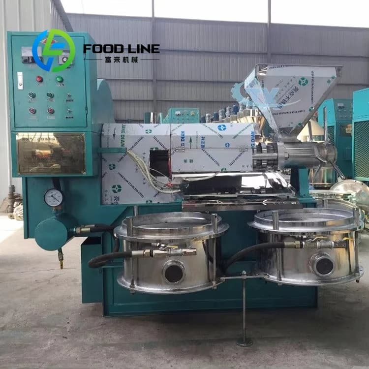 Machine d'extraction d'huile de presse à froid de graines de lin de tournesol avec filtre à huile de cuisson