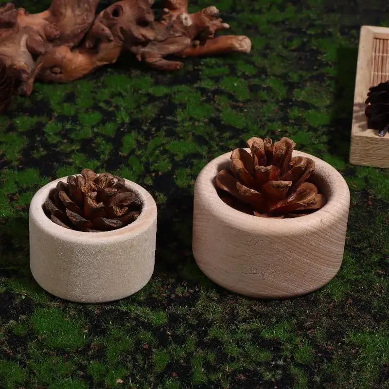 Diffuseur d'huile essentielle en bois de pomme de pin créatif