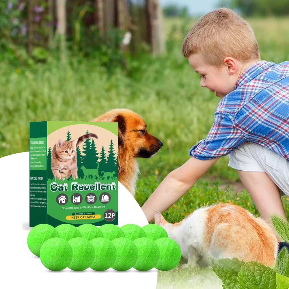 Paquet de 12 dissuasifs pour chats