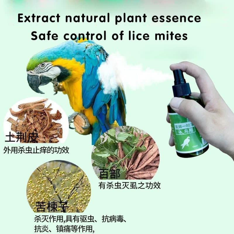 Éliminer les acariens des poux, ne nuit pas aux oiseaux, convient à une variété d'oiseaux, pigeon, perroquet, essence végétale naturelle, 150ml