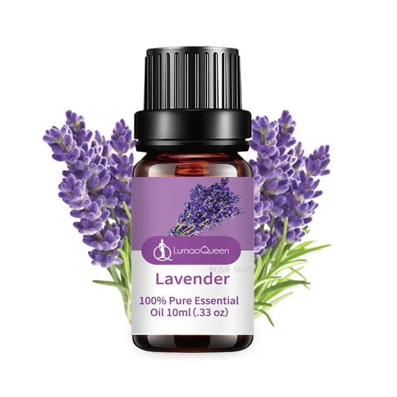 Huile essentielle de bougie d'aromathérapie, saveur de fruits naturels, huile essentielle végétale, bougie de Regina faite à la main, essence de vanille, 10ml