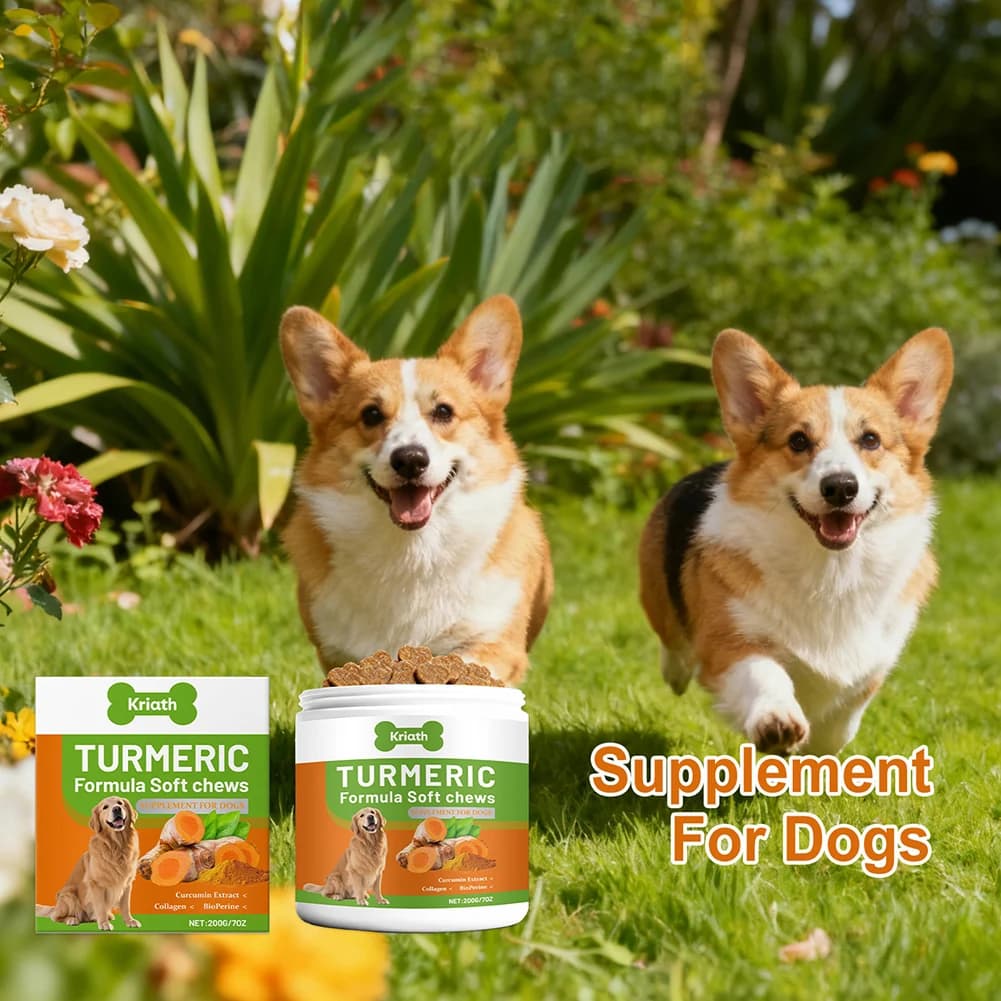200g de friandises molles bio au curcuma pour chiens, avec curcumines, supplément articulaire au collagène, élimine les douleurs et l'inflammation des articulations