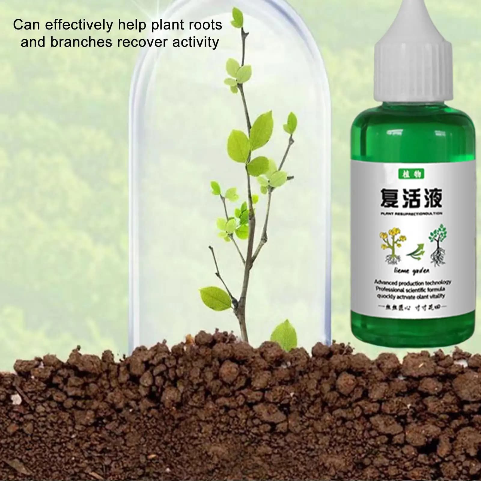 Liquide nutritif végétal 50ml, aliments pour plantes en plein air et en croissance du sol, favorise une croissance saine et forte, concentré liquide d'engrais