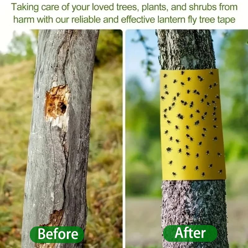 1 rouleau de ruban adhésif anti-insectes extérieur : rouleau collant double face jaune pour lutte antiparasitaire des arbres, pièges mouches blanches, fourmis, chenilles