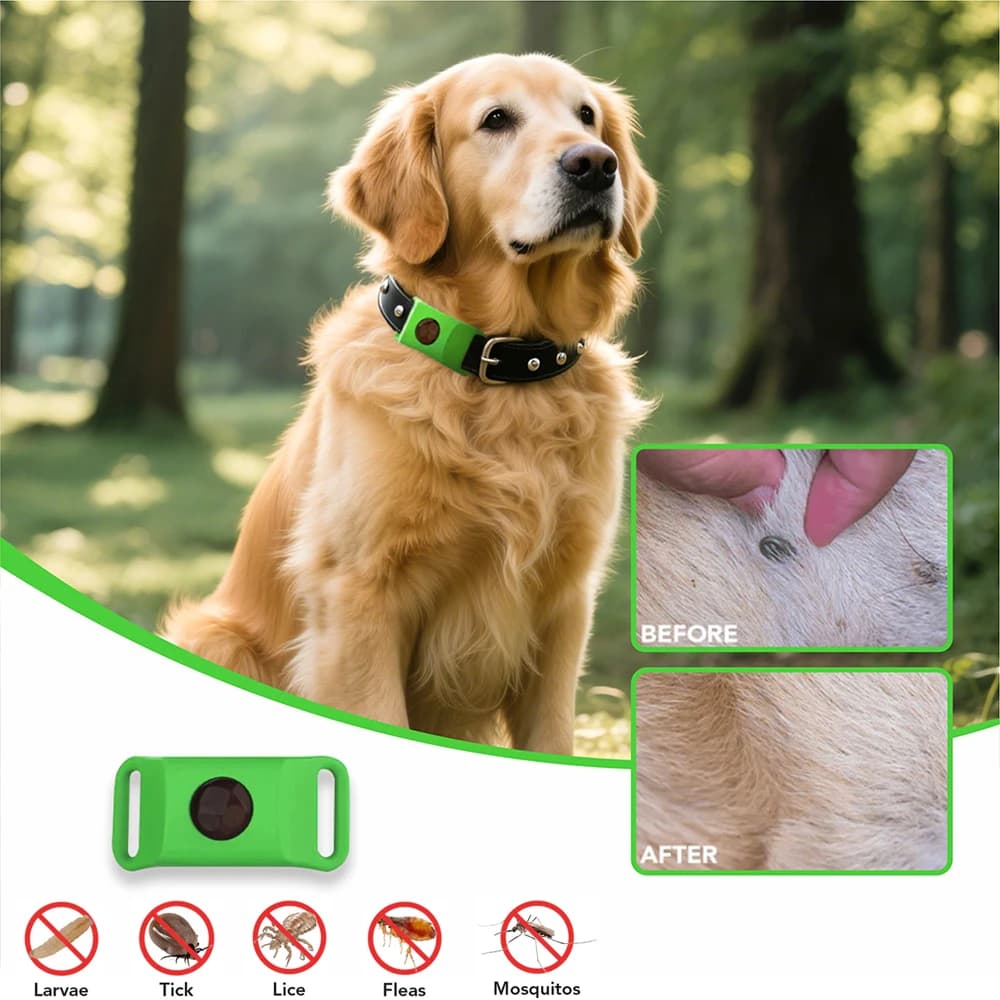 Huiles naturelles anti-puces et anti-touche pour collier de chiens et de chats, étiquettes portables pour animaux de compagnie avec huiles essentielles pour répuler les parasites en toute sécurité
