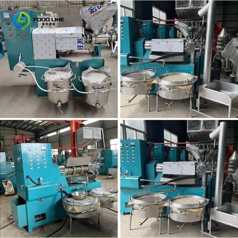 Presse à huile entièrement automatique pour une production efficace d'huile d'olive, de soja, de sésame et de noix, sur mesure