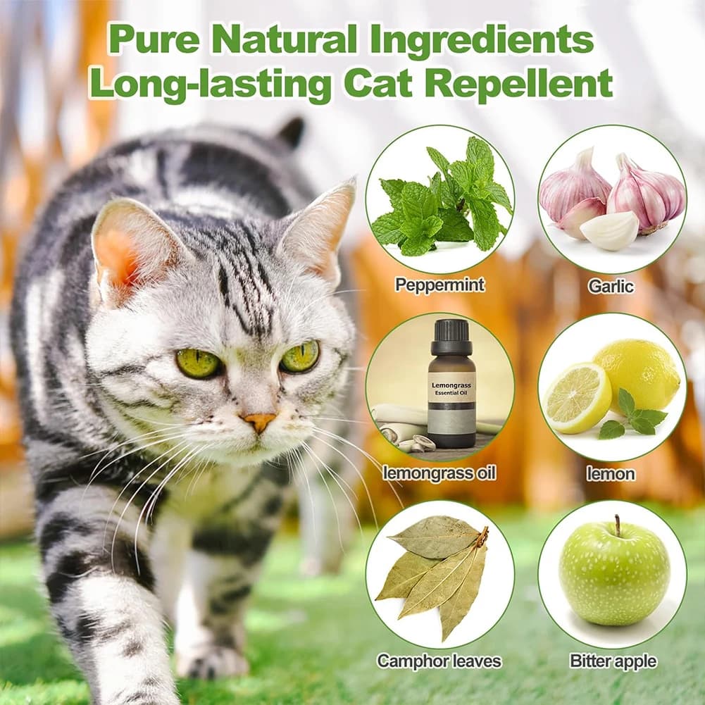 Lot de 12 répulsifs pour chats