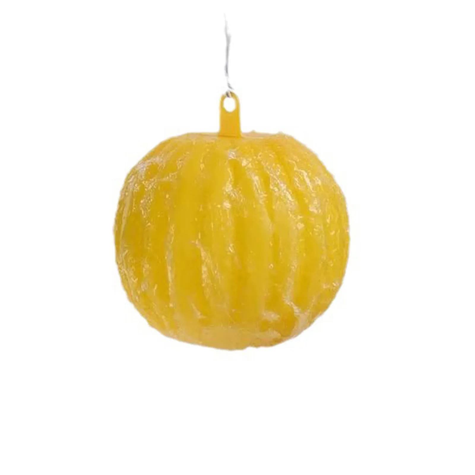 Pièges à mouches à fruits