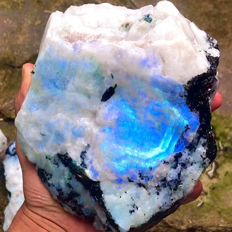 Grande Pierre de Lune Arc-en-ciel Brute, avec Iridescence Naturelle, Idéale pour la Décoration Intérieure, Cadeaux de Yoga