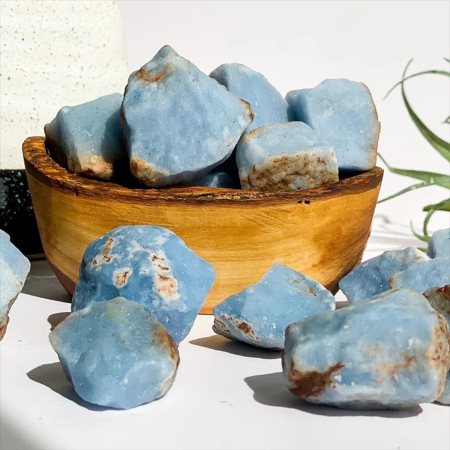 Pierre brute d'Angélite naturelle-Collection de cristaux minéraux de haute qualité, décoration parfaite pour la maison, spécimens non transformés