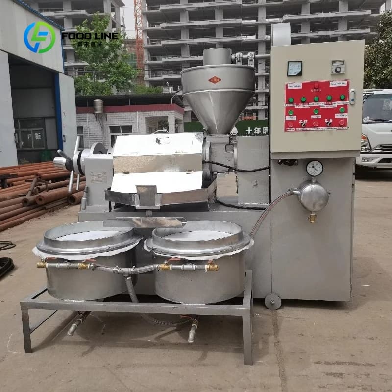 Machine industrielle personnalisée d'extraction d'huile 6YL-70-presse à huile de presse à froid de qualité alimentaire pour usage commercial
