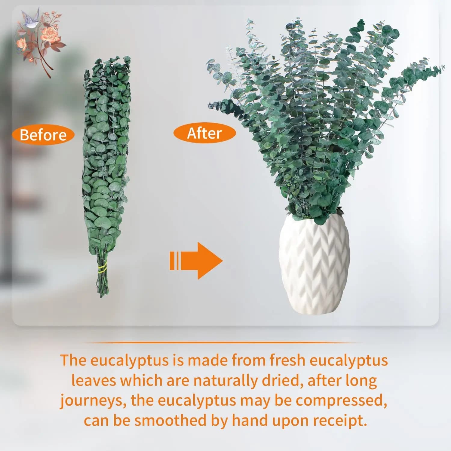 Feuille d'eucalyptus éternelle