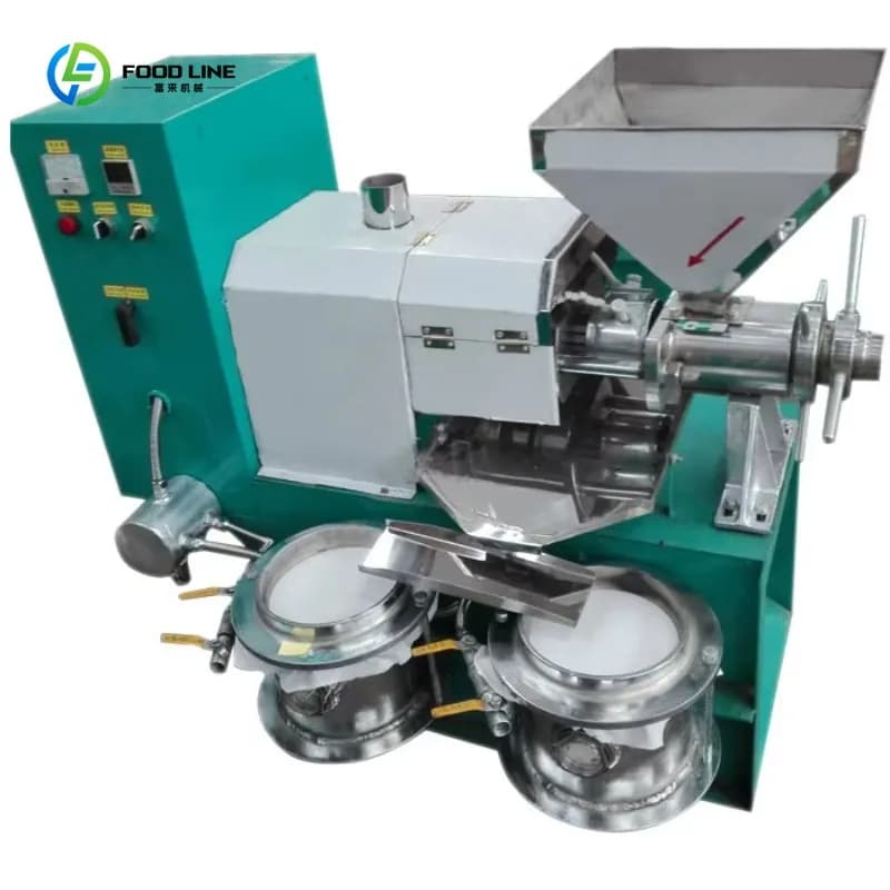 Presse à huile industrielle personnalisée pour huiles végétales (arachide, noix de coco, olive), équipement de fabrication et d'extraction d'huile comestible à froid et à chaud