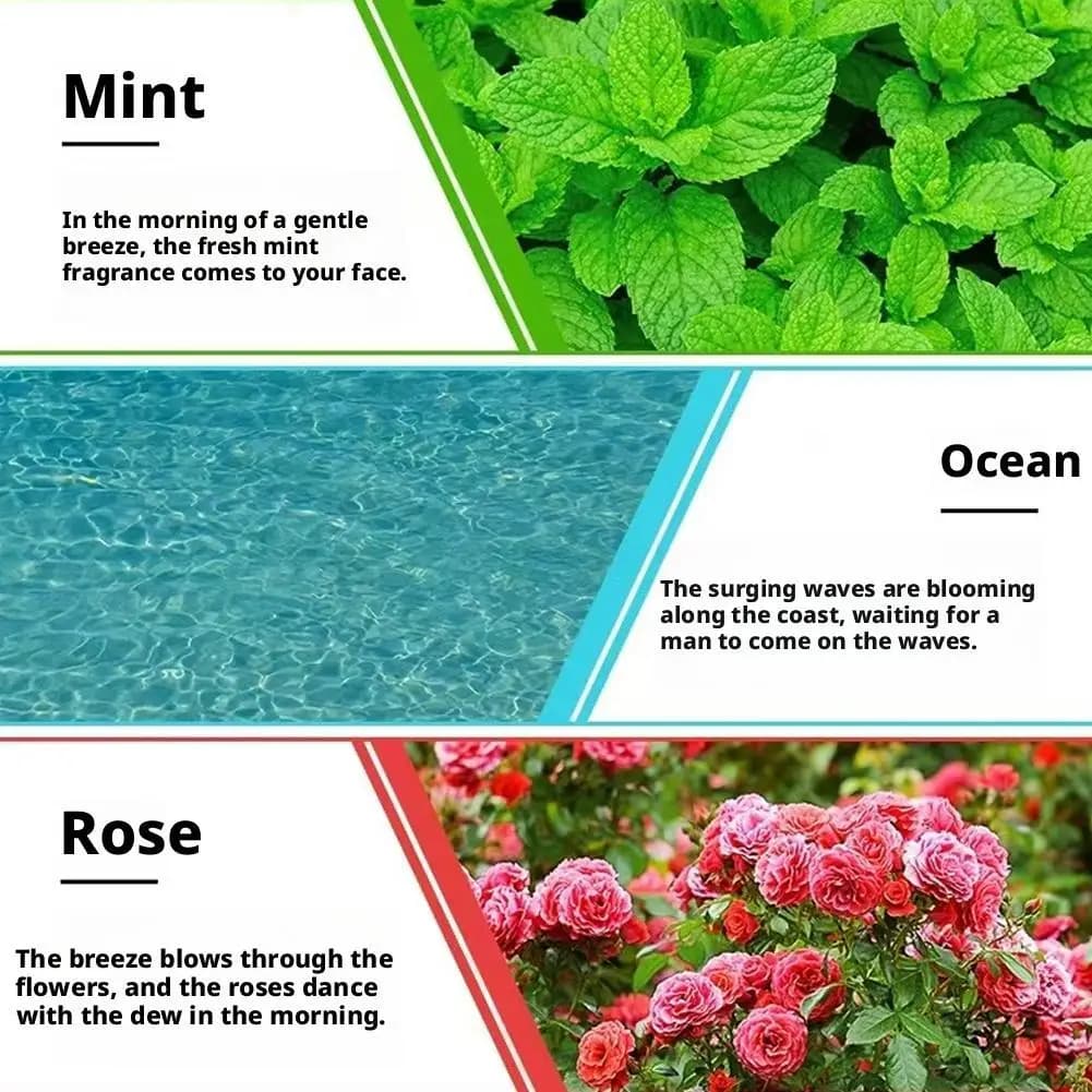 Huile essentielle saveur de fruits plante naturelle lavande ROSE citron menthe