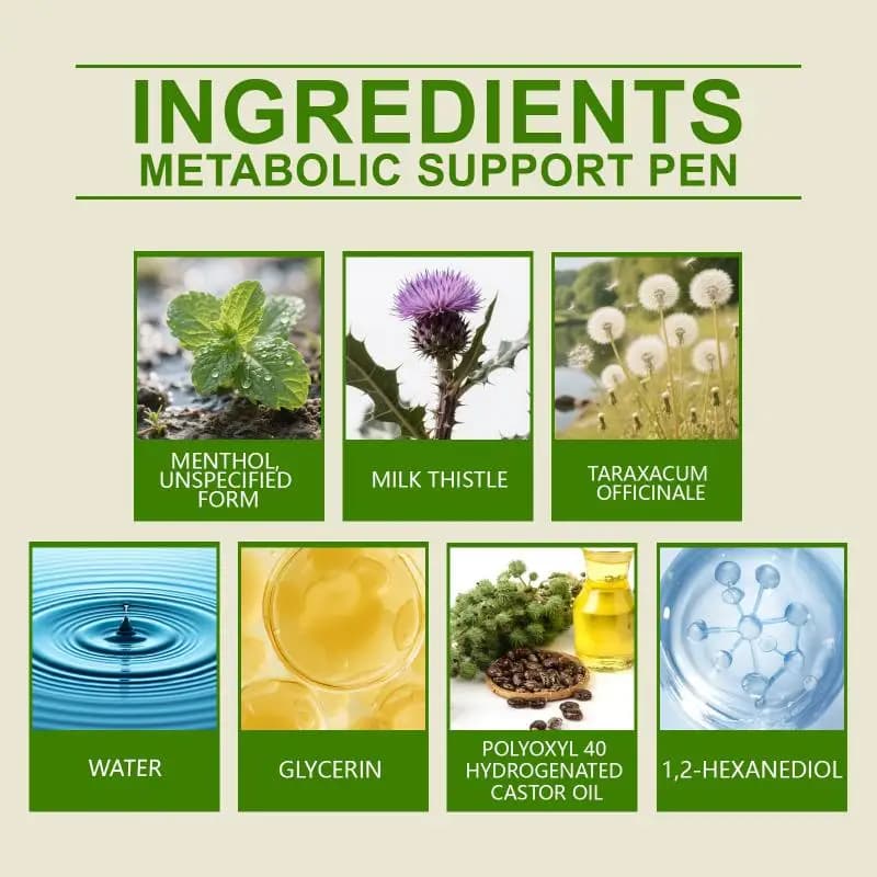 Diffuseur Purificateur d'Herbes 4-en-1 : Molène