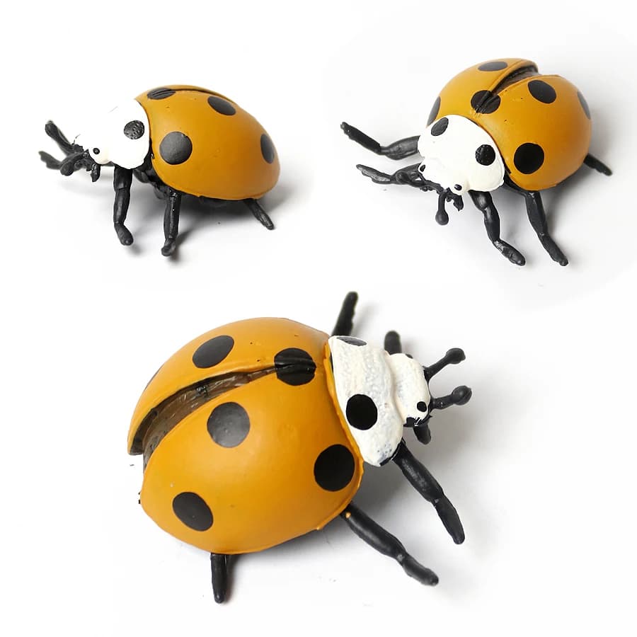 Figurines d'animaux d'insectes de Simulation, cigale, papillon, coccinelle, araignée, tarantule, Amoena, décorations, modèle de jouets, cadeau pour enfant