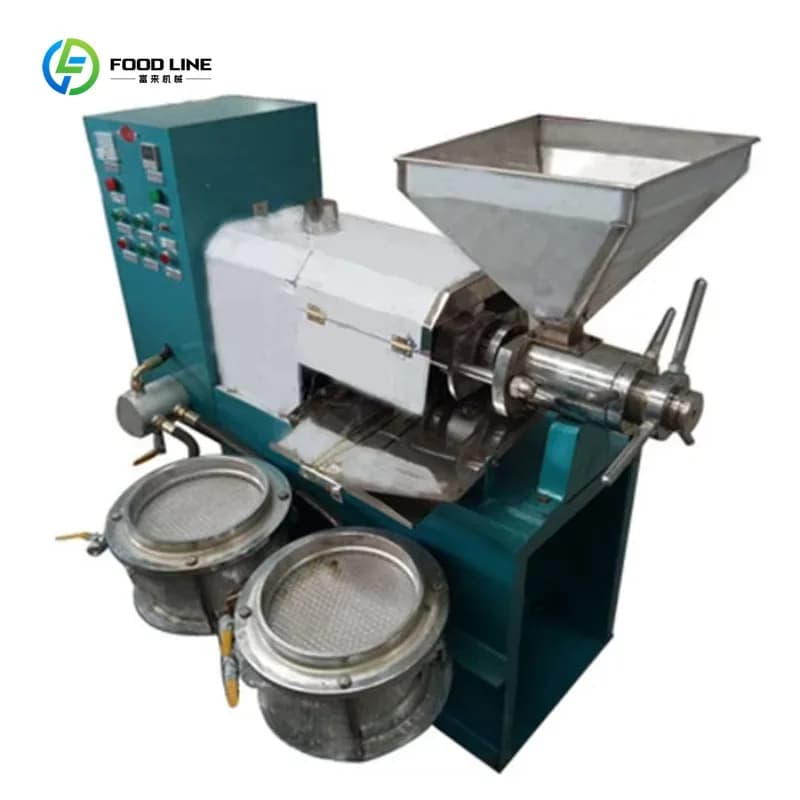 Presse à huile industrielle personnalisée pour huiles végétales (arachide, noix de coco, olive), équipement de fabrication et d'extraction d'huile comestible à froid et à chaud