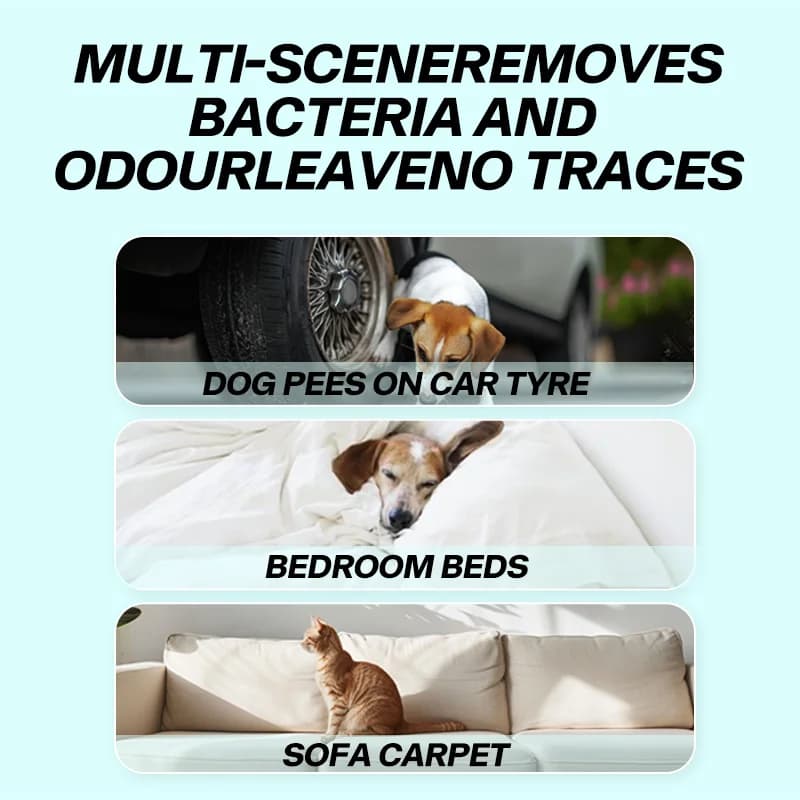 Zone d'exclusion pour animaux de compagnie Spray répulsif pour chat Spray à Induction répulsif pour chat Spray répulsif pour prévenir les désordre l'urine du chat