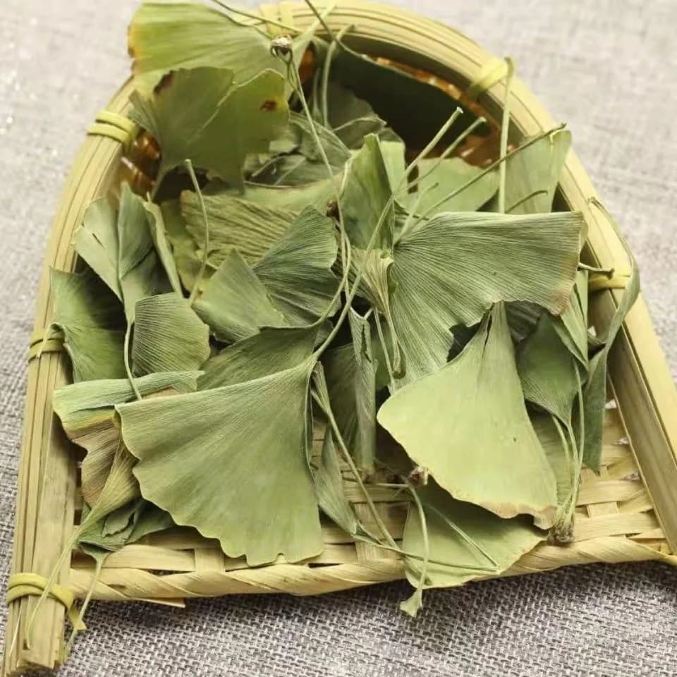 Feuilles de Ginkgo Biloba séchées naturelles, épices naturelles à base de plantes pour la fabrication de savons et de bougies DIY, décoration de mariage et de la maison