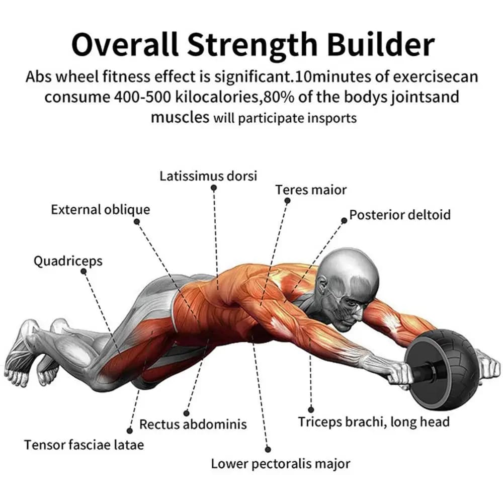Rouleau d'exercice abdominal ergonomique à poignée ergonomique