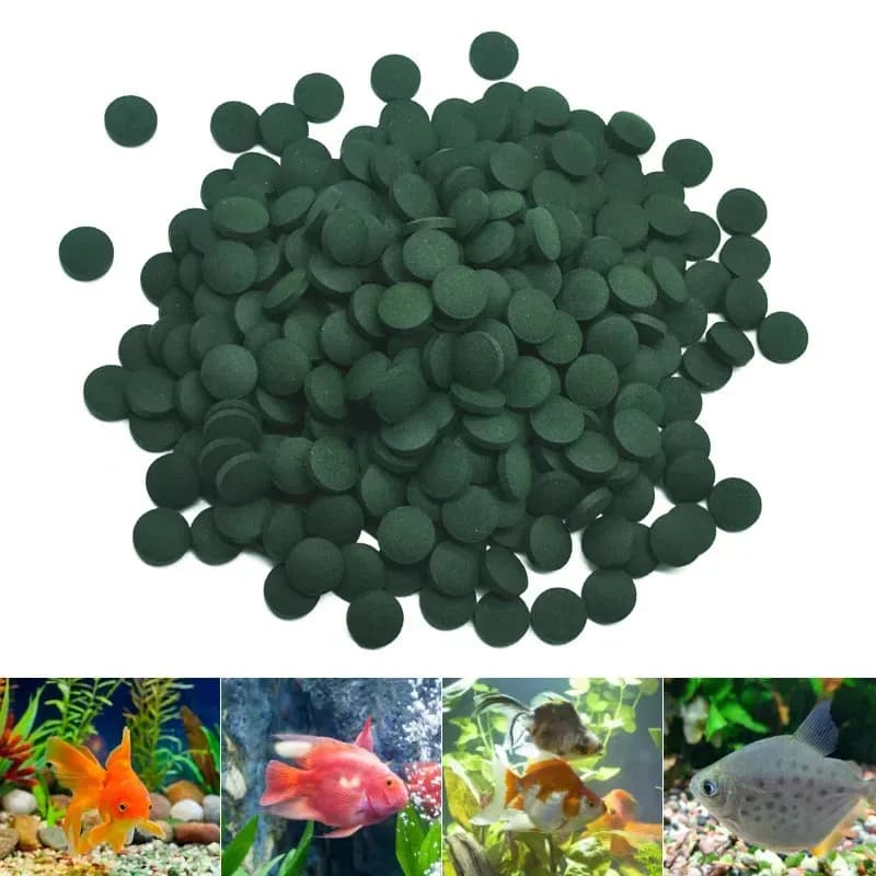 100-3000 comprimés de spiruline de haute pureté, riches en spiruline. Nourriture pour poissons préférée des animaux de compagnie, nourriture pour crevettes et poissons, aquarium