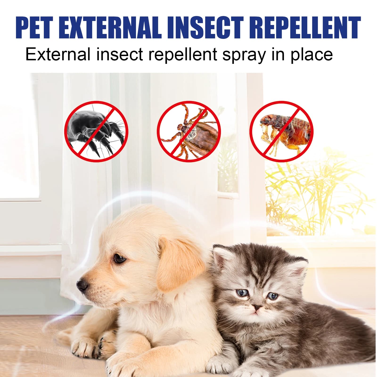 Spray naturel pour les puces pour chiens et chats, répulsif pour les puces et les tiques à base de plantes, huiles essentielles, traitement des puces, soulagement des démangeaisons, Spray pour animaux