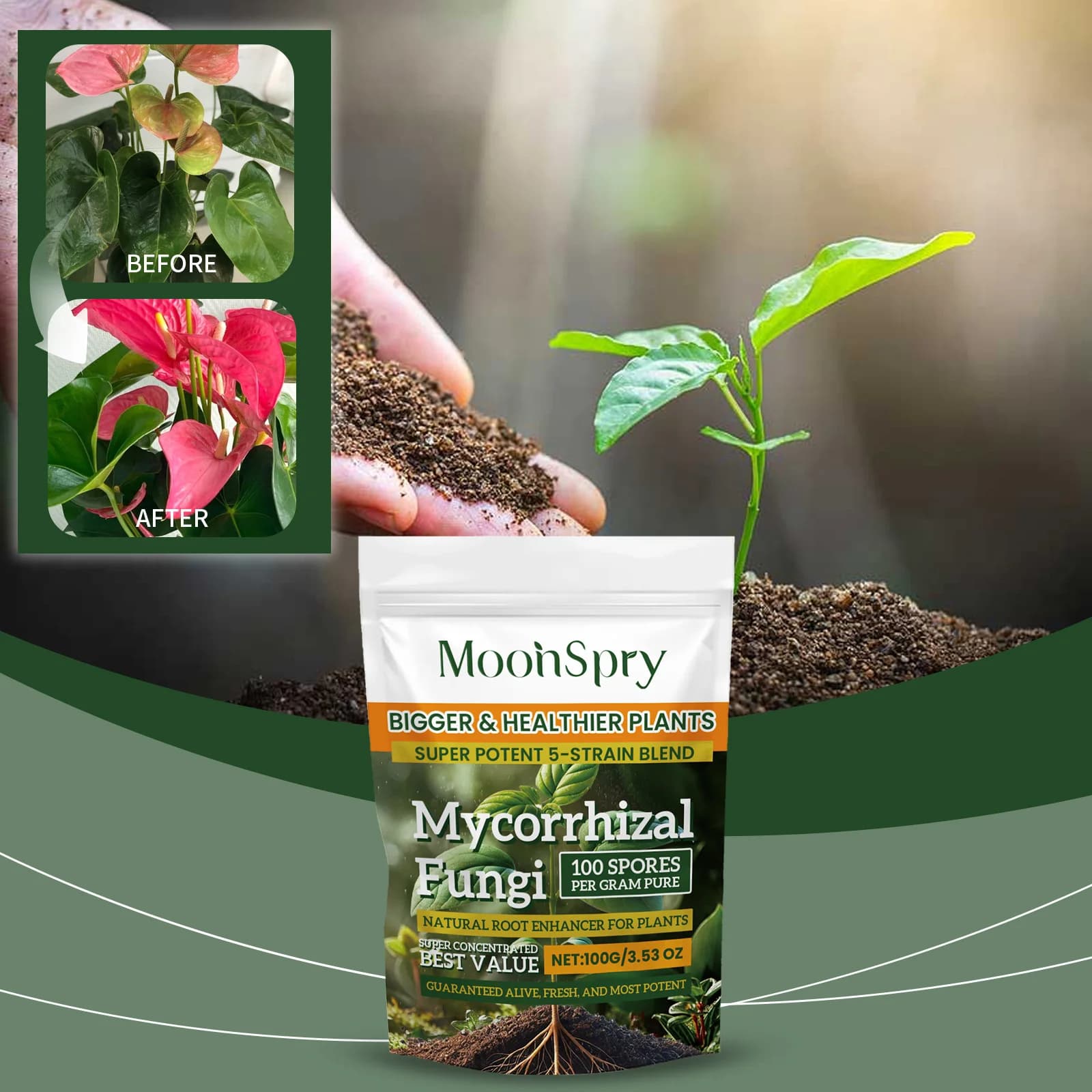 Poudre d'amélioration du système racinaire des plantes biologiques ; Complément nutritif pour les racines des plantes de jardin, améliore la nutrition du sol, poudre nutritive pour les plantes