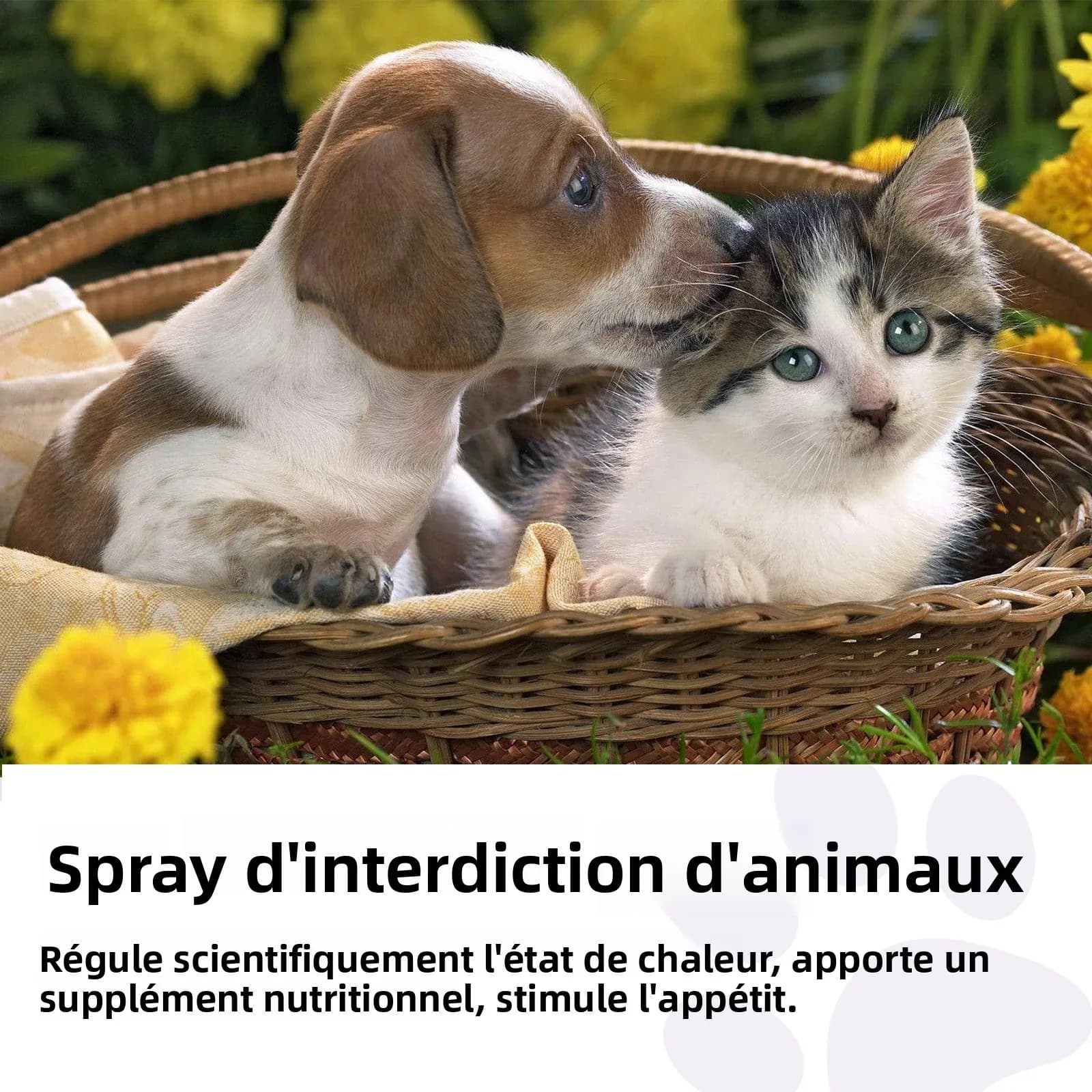 Diffuseur de phéromone en Spray apaisant pour animaux de compagnie