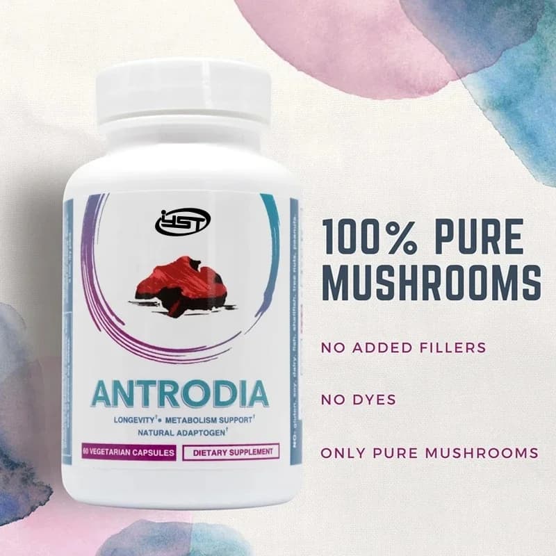 60 Capsules, Complément d'extrait pur de champignon Niu Zhangzhi