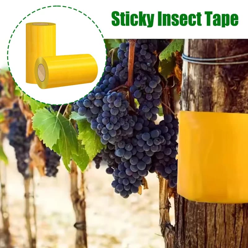 1 rouleau de ruban adhésif anti-insectes extérieur : rouleau collant double face jaune pour lutte antiparasitaire des arbres, pièges mouches blanches, fourmis, chenilles