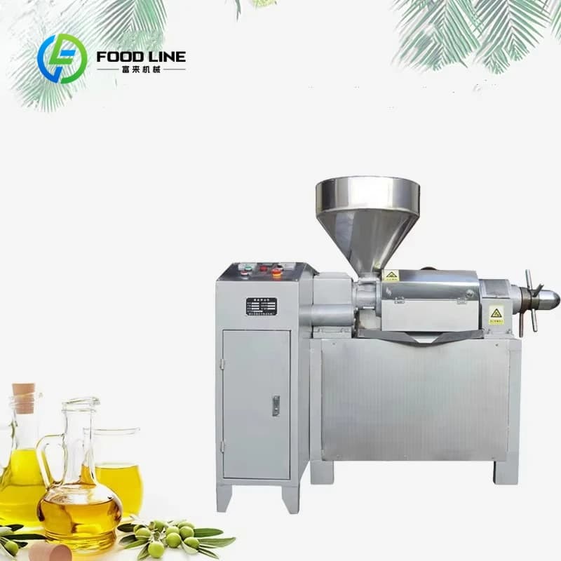 Presse à huile froide industrielle personnalisée, 500 KG/H, Olive, cacahuètes, tournesol, basilic, équipement de ligne de traitement Commercial