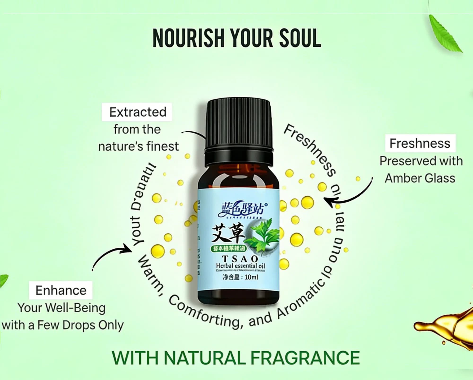 Huile Essentielle d'Armoise 10ml – Huile Naturelle Pure à 100%, Arôme Camphréen Frais, Bouteille en Verre Ambré pour l'Aromathérapie & la Relaxation