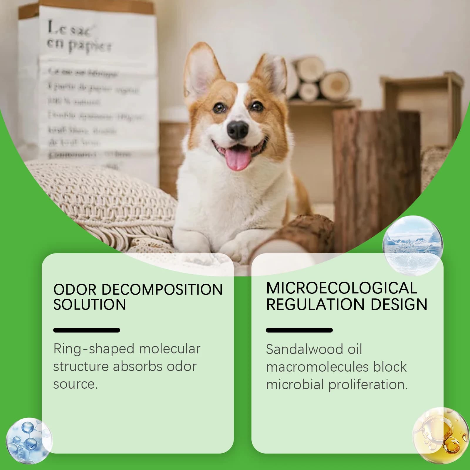 Spray éliminateur d'odeurs d'animaux de compagnie, pour accidents d'urine de chien et de chat sur tapis, brume désodorisante naturelle sans parfum synthétique
