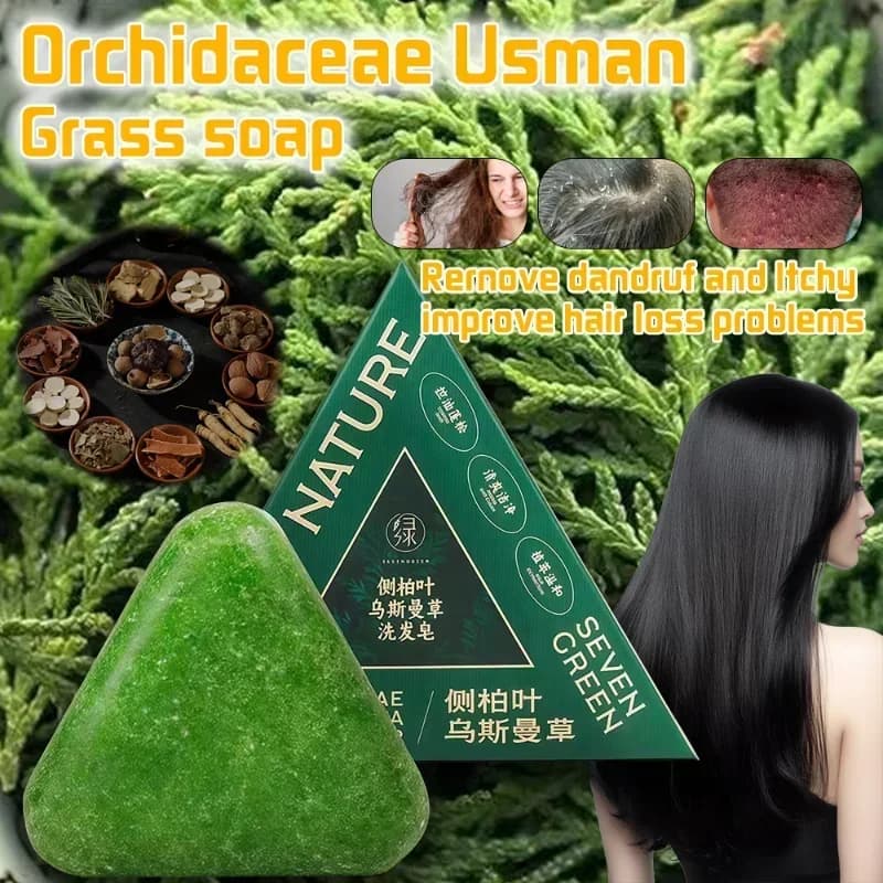 Shampoing à feuilles d'arborvitae orientales, savon, soulage les démangeaisons du cuir chevelu, renforce les racines des cheveux, contrôle de l'huile, Anti-pelliculaire, nouveau shampoing naturel
