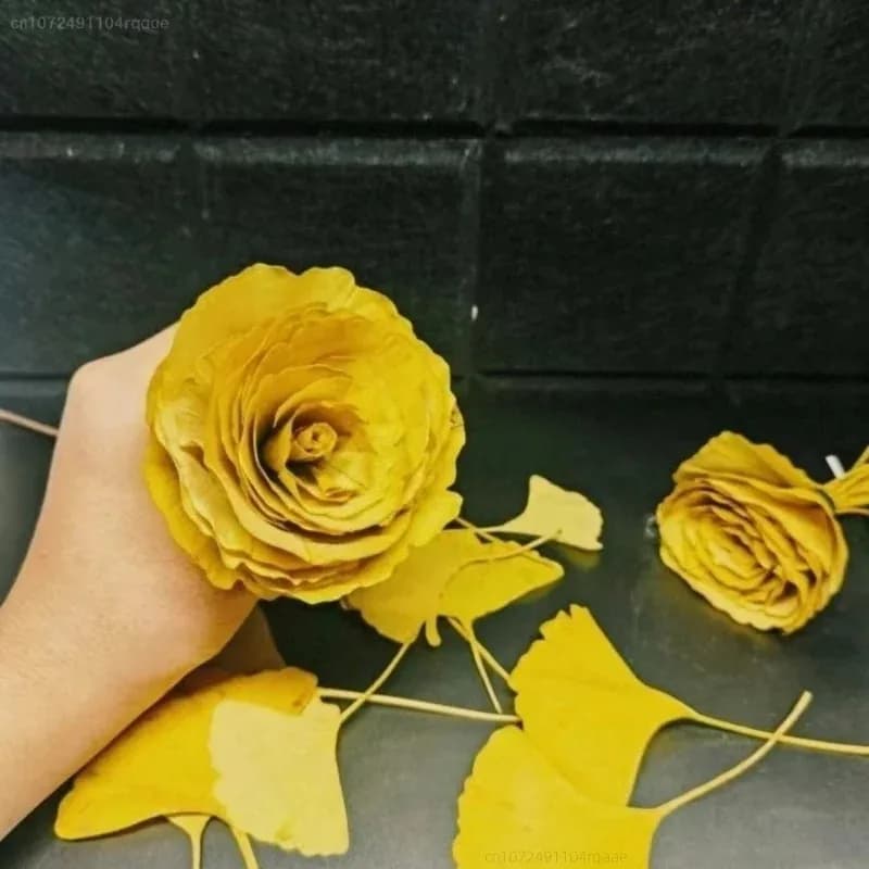 100/250/500g Feuilles de Ginkgo Biloba Séchées Naturelles Pour Remplissage de Vases, Artisanat, Arrangement Floral, Décoration de Café, Art DIY