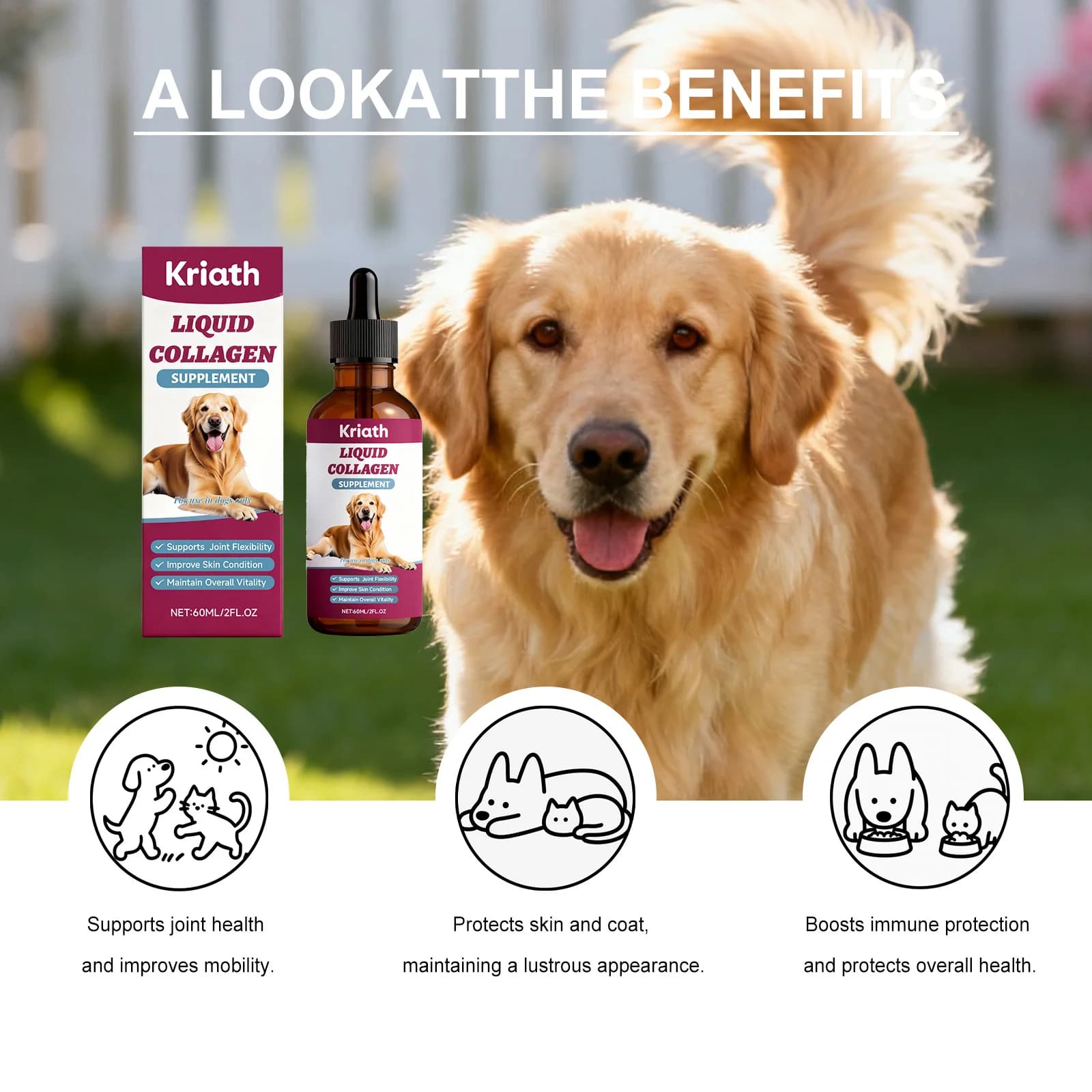 Gouttes nutritionnelles au collagène pour chien – Soutien articulaire