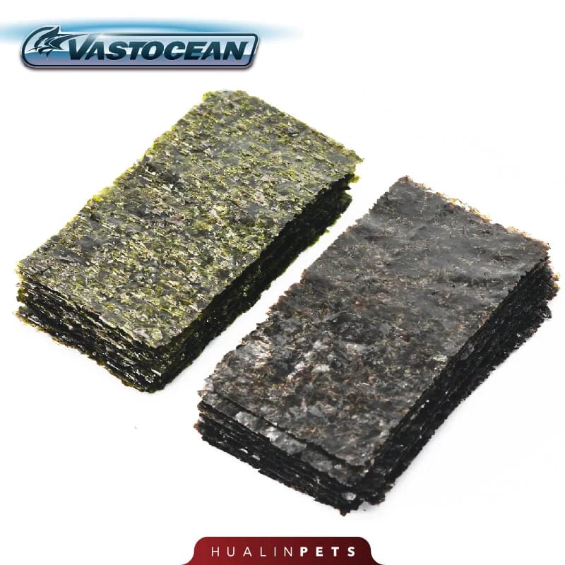 VASTOCEAN légumes de mer algues nourriture pour poissons réservoir de mer nourriture suspendue algues eau de mer