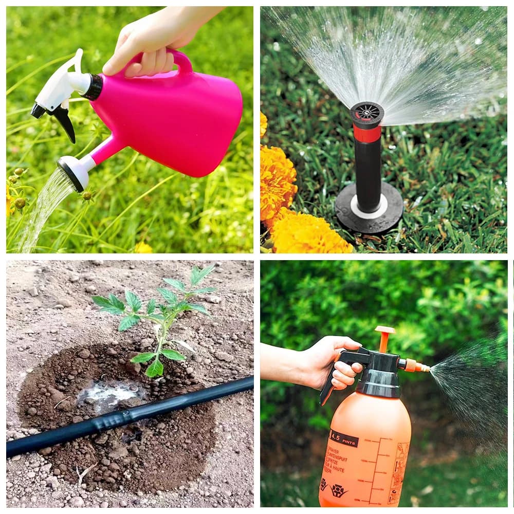 Poudre d'engrais d'acide aminé composé 30 G, Npk, azote-phosphate-potassium, supplément sûr, Nutrition des plantes pour le jardin