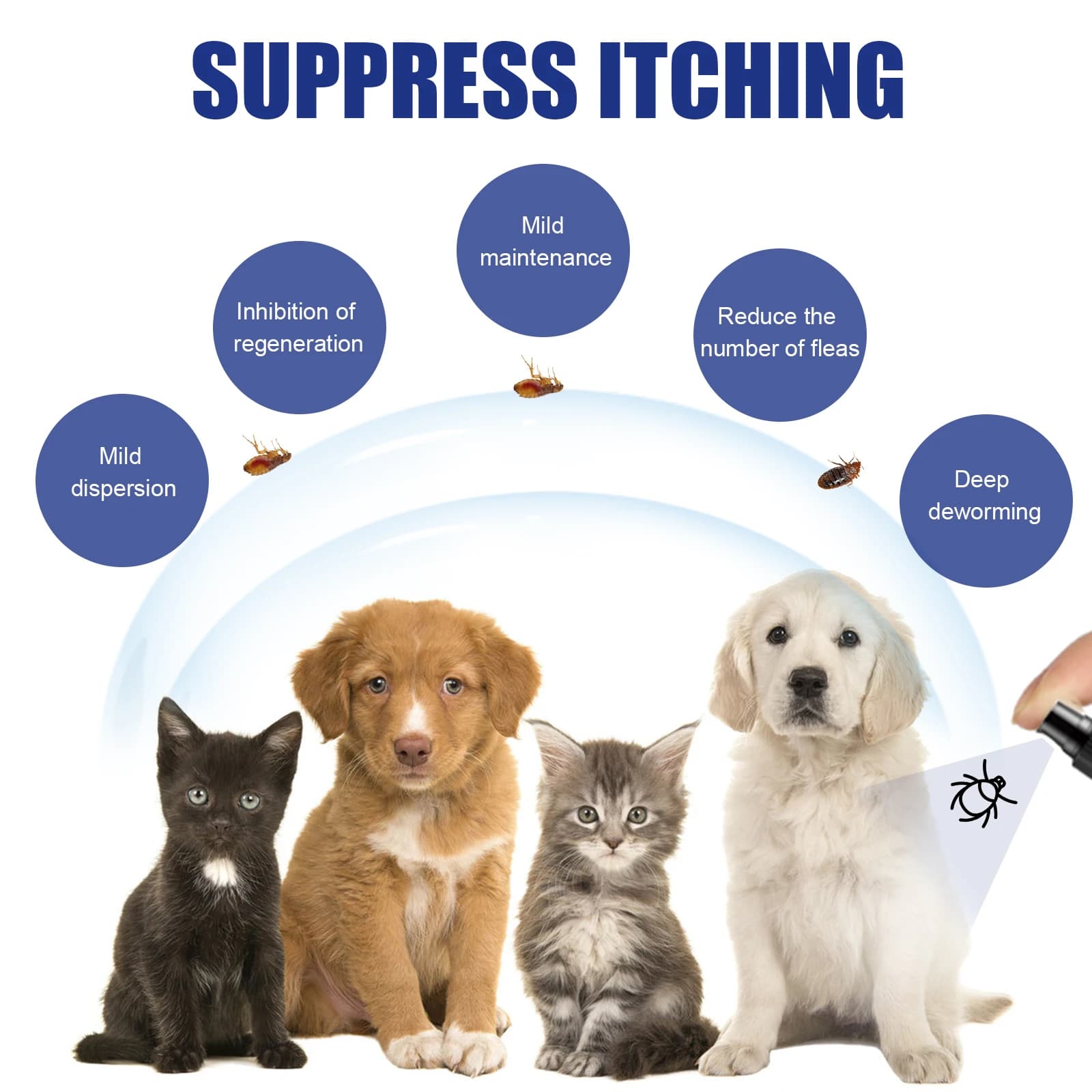Spray naturel pour les puces pour chiens et chats, répulsif pour les puces et les tiques à base de plantes, huiles essentielles, traitement des puces, soulagement des démangeaisons, Spray pour animaux