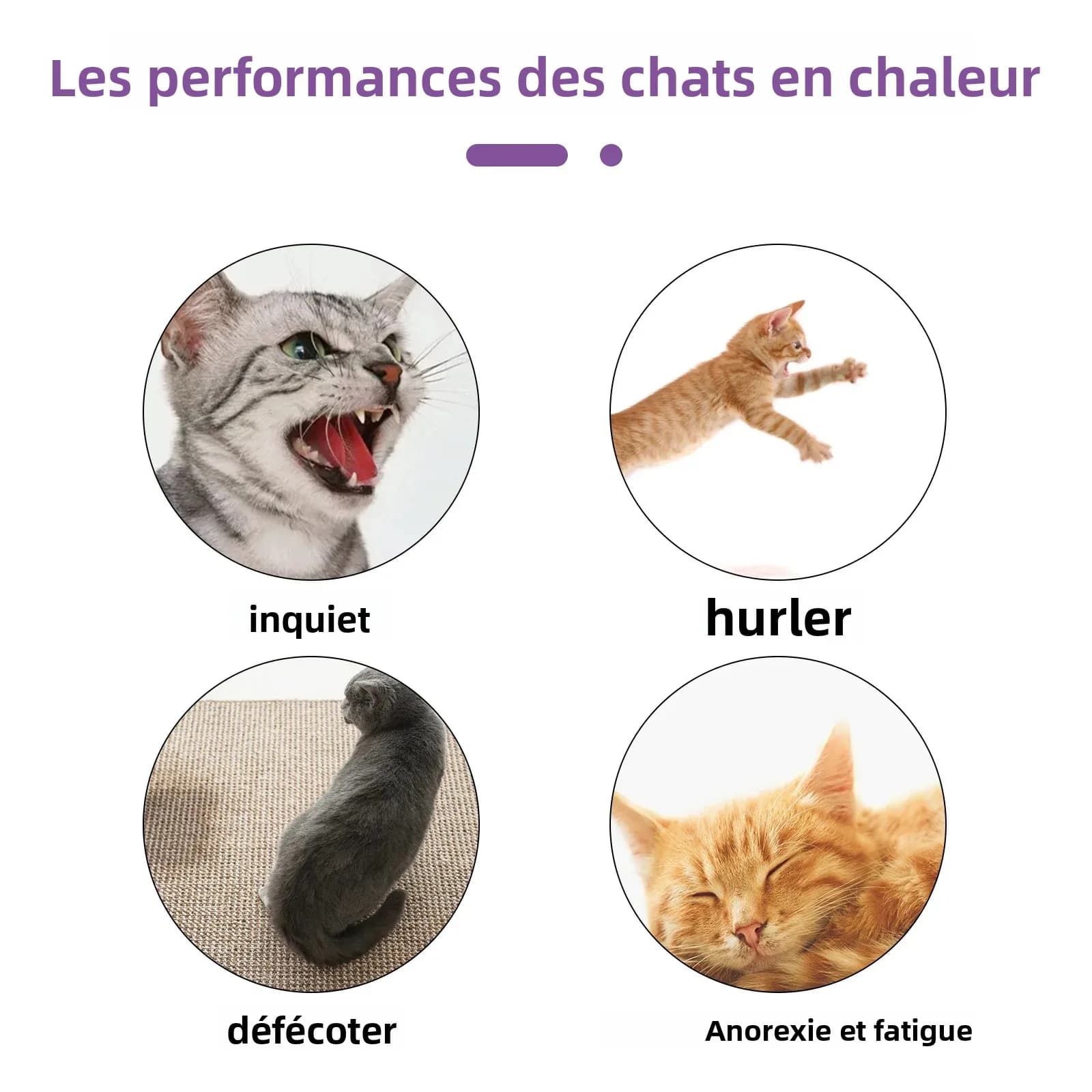 Diffuseur de phéromone en Spray apaisant pour animaux de compagnie