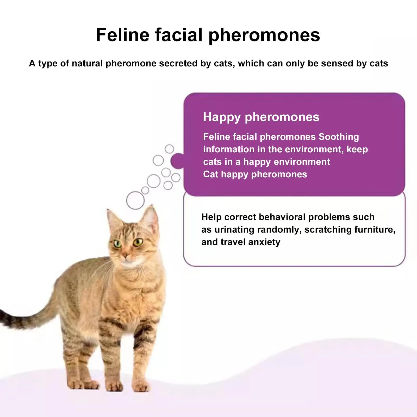 Diffuseur de phéromones pour chats