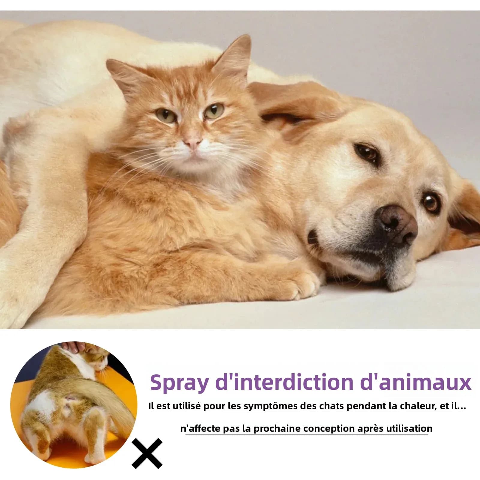 Diffuseur de phéromone en Spray apaisant pour animaux de compagnie