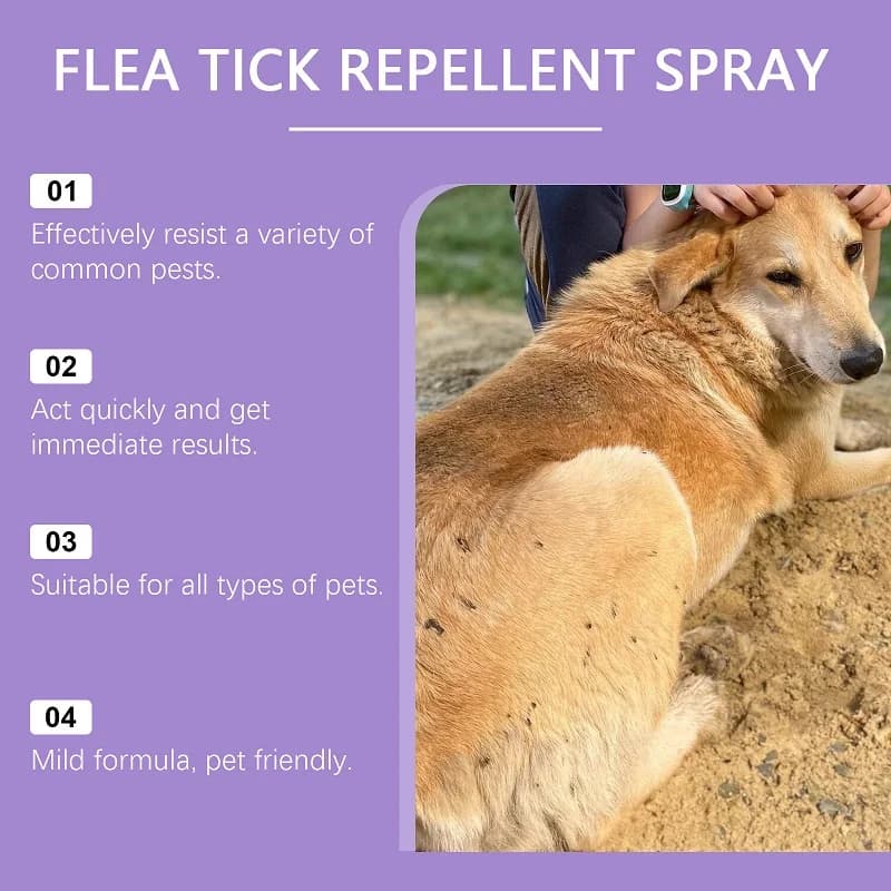 Spray de tir répulsif contre les pouces et les acariens pour animaux de compagnie, avec ingrédients naturels, huiles essentielles pour chiens et chats, dissolvant d'insectes externe