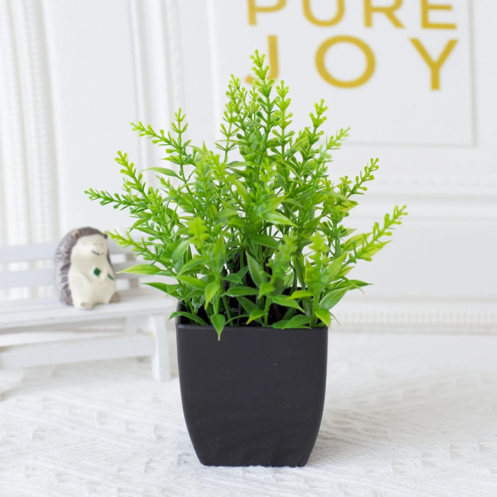 Pot noir de fausse plante