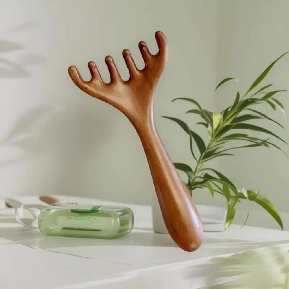Peigne de Massage méridien relaxant du cuir chevelu, 5 pièces, bois de santal, Circulation sanguine, antistatique, cheveux lisses