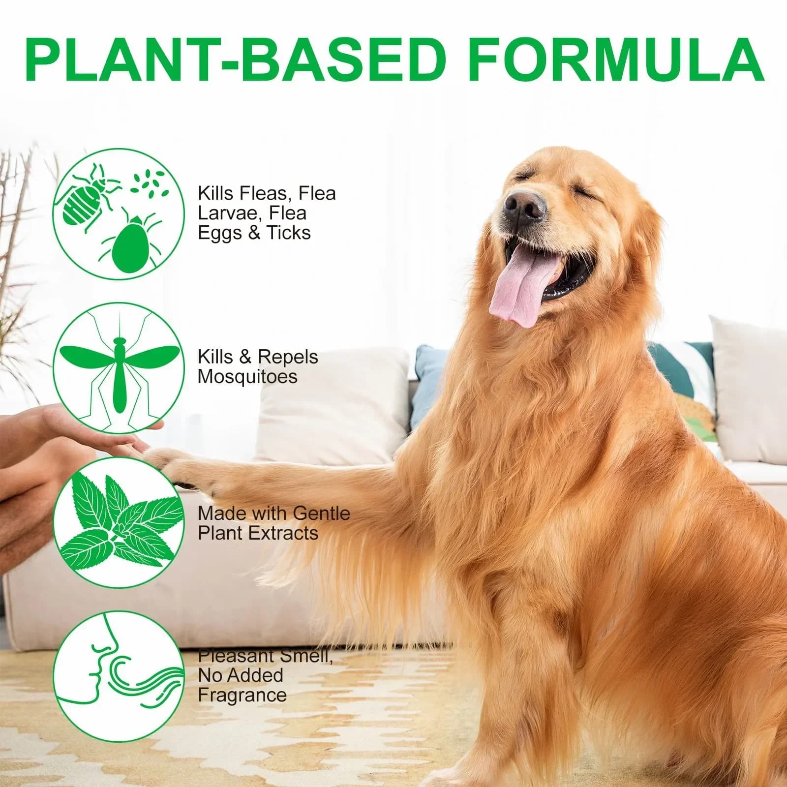 Spray toique naturel pour animaux de compagnie, 100ml, pour chiens et chats, avec parfum frais, huile de menthe poivrée et Eugenol
